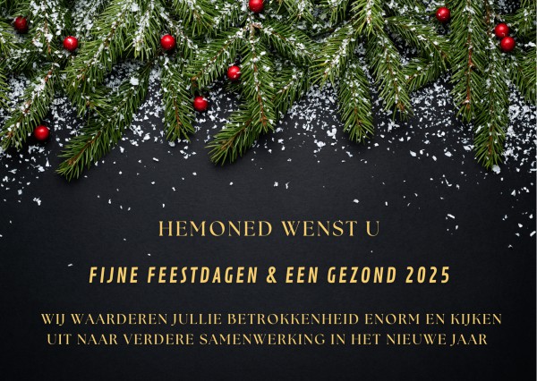 Kerstgroet van HemoNED