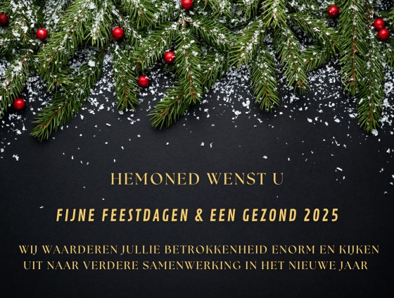 Kerstgroet van HemoNED